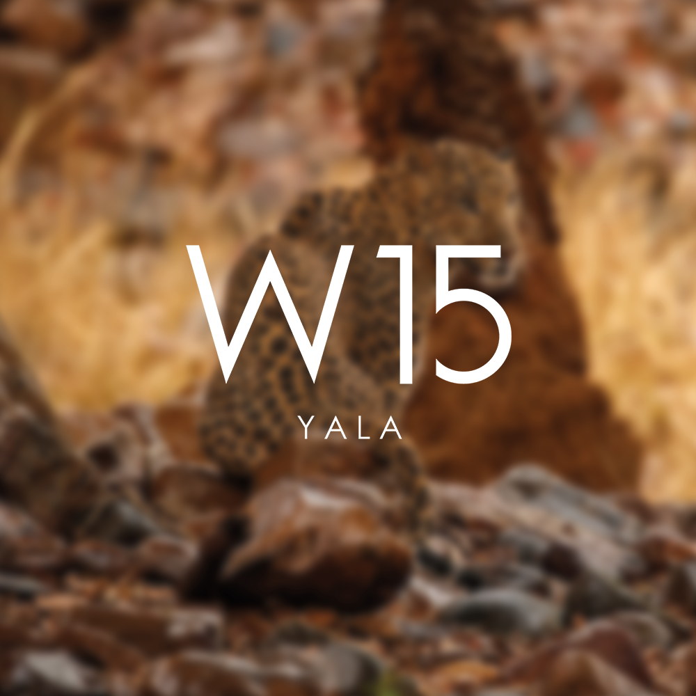 W15 Yala